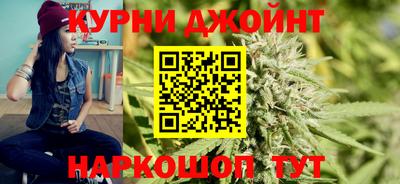 сатива Апшеронск