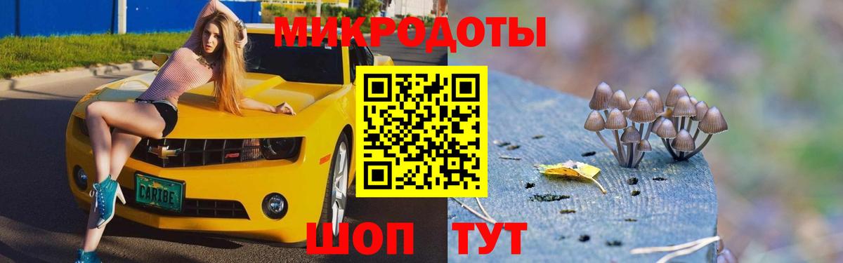 Видное  Галлюциногенные грибы Psilocybe  Псилоцибиновые грибы ЛСД  как найти закладки  Вход с VPN 